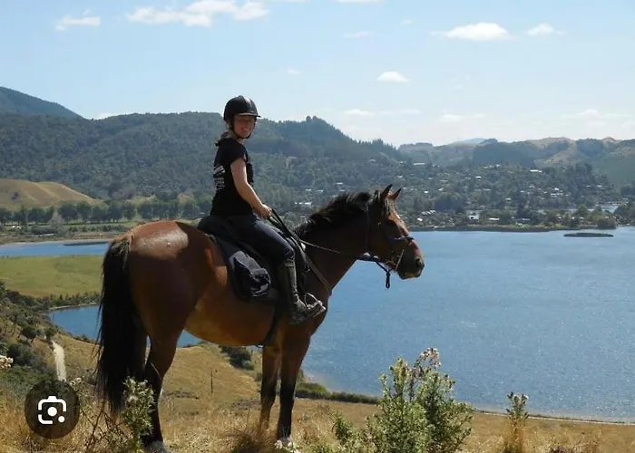 Skyline Skyrides Premium Property, Host Info For Pets Hébergement de vacances